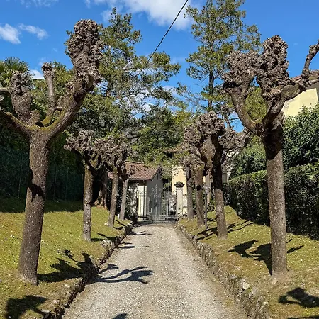 アパート San Giusto I Villen-ferienwohnung メナッジョ
